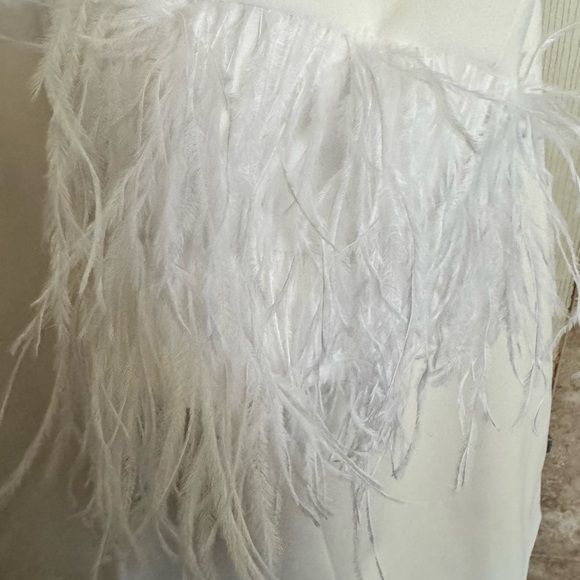 Adrianna Papell Size 18 Knit Crepe Blazer Dress w/Feather Trim - Ivory - Picture 7 of 10